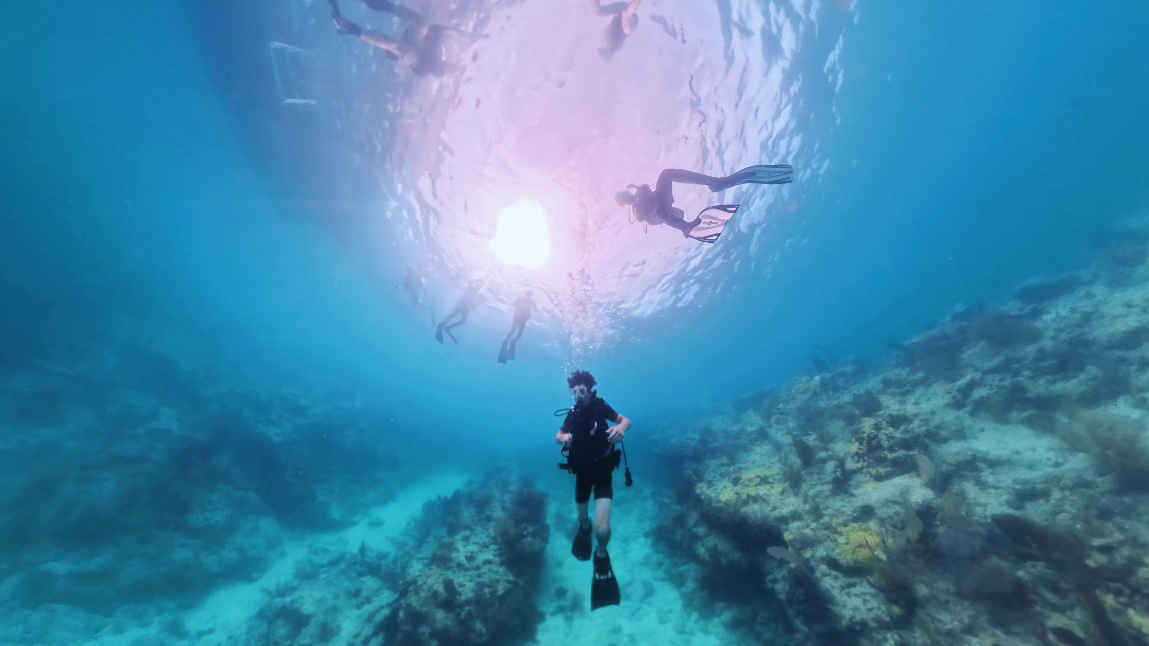 Scuba Diving 12