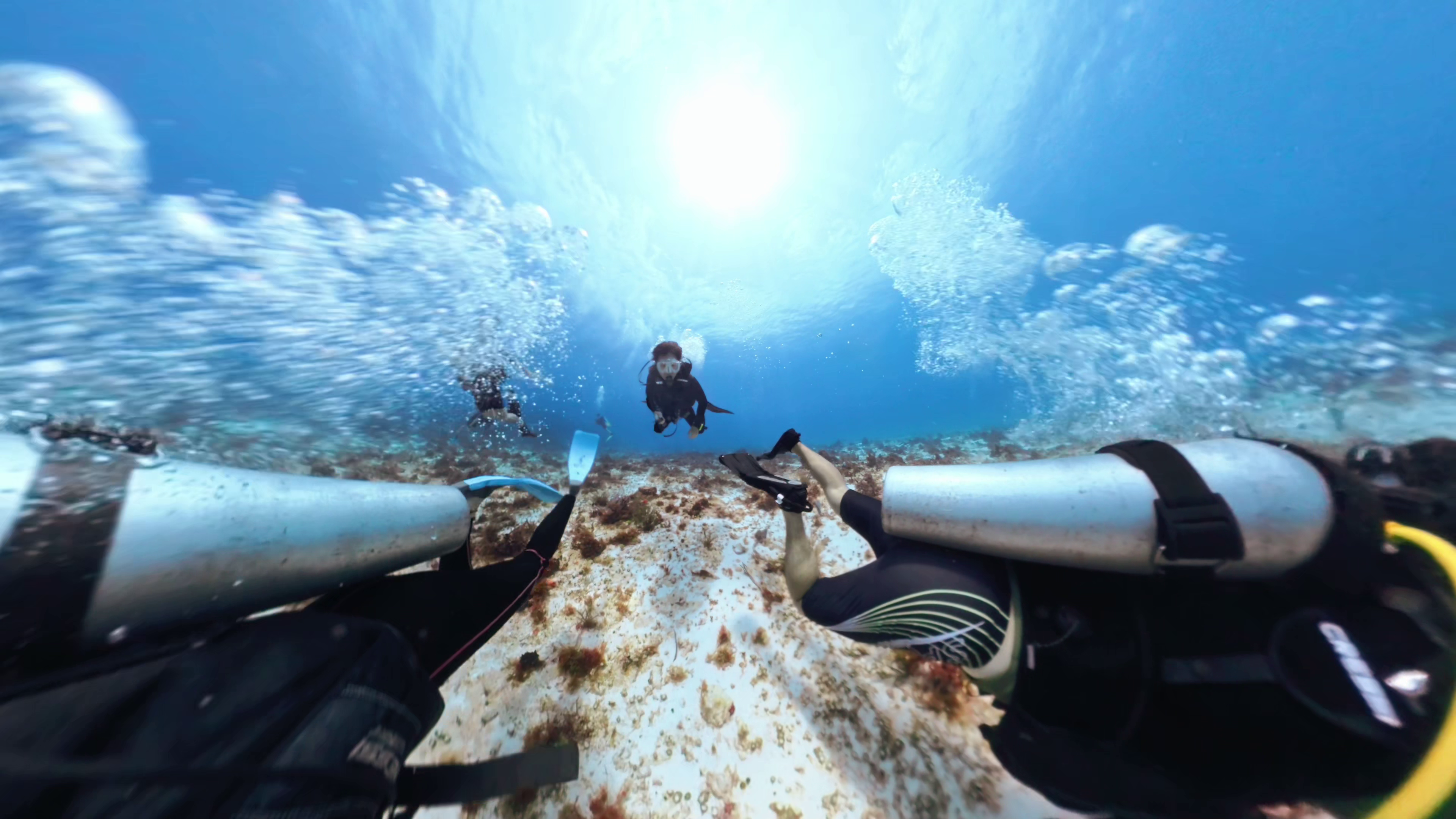 Scuba Diving 13