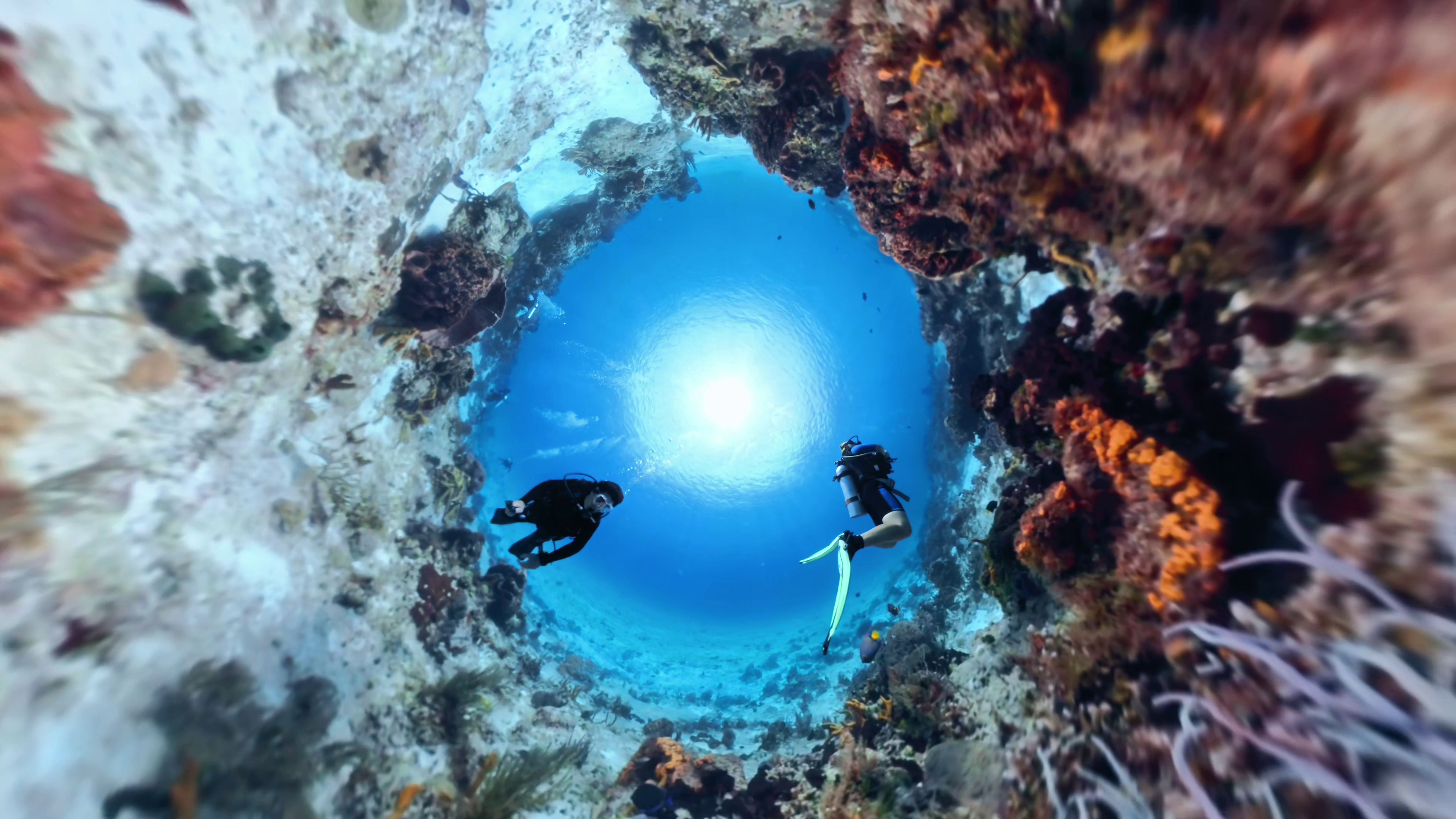 Scuba Diving 7