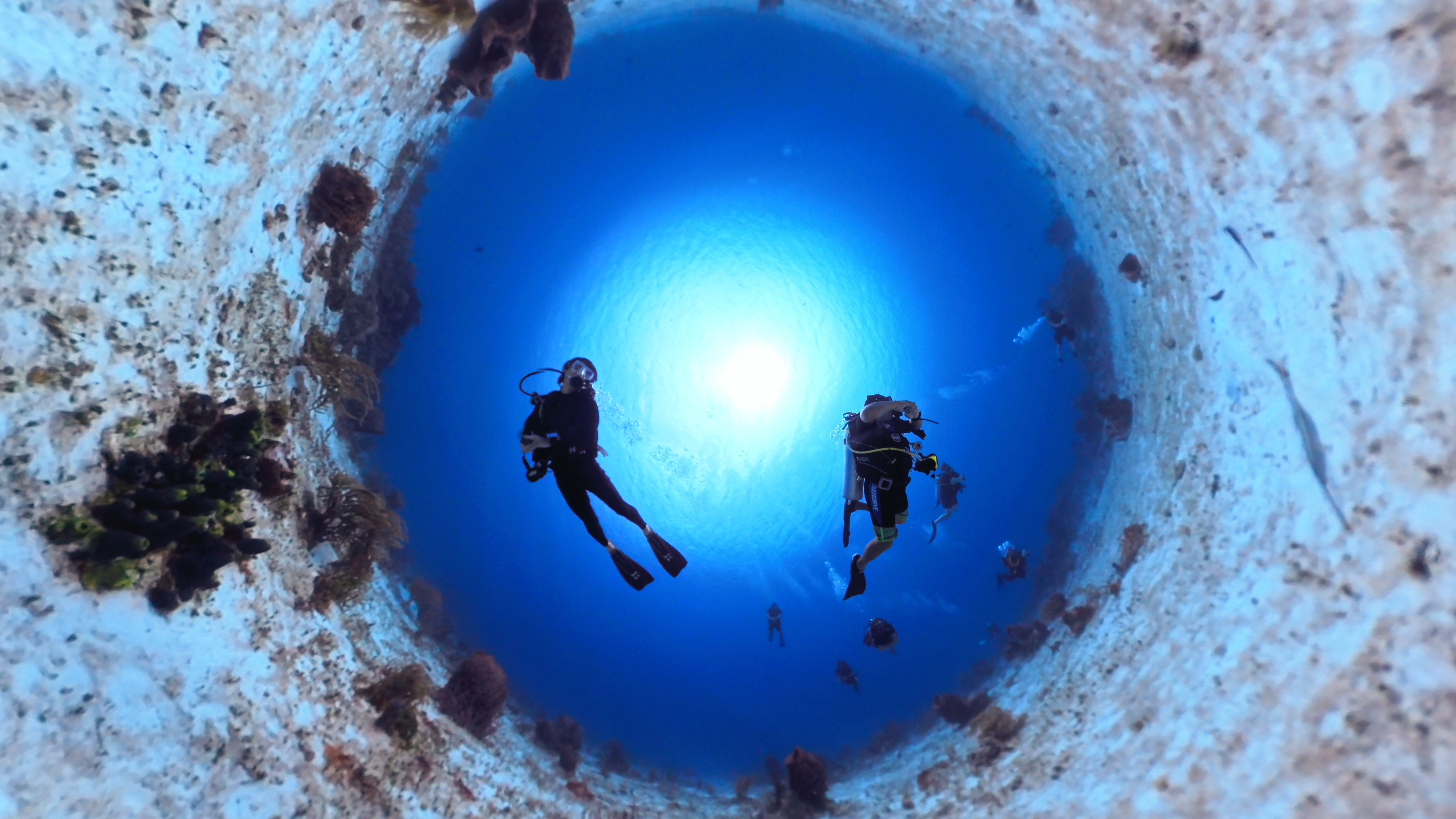 Scuba Diving 8